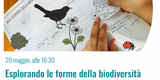 Esplorando le forme della biodiversità