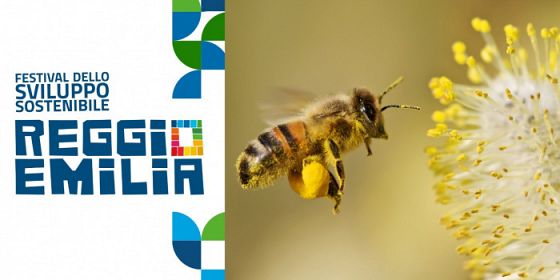 Tracce invisibili - Il polline e i segreti nascosti del clima