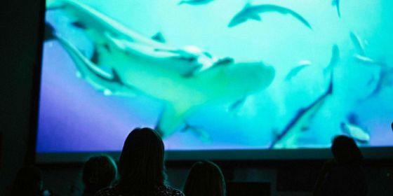 Pianeta mare film lab a Genova