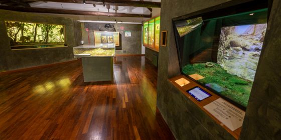 Sostenibilità è partecipazione. Una caffè al museo