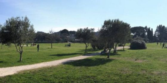 Sostenibilità è partecipazione. La passeggiata (virtuale) di quartiere