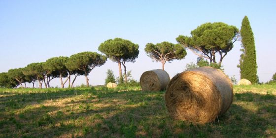 Sostenibilità è partecipazione. La passeggiata nel Parco di Veio
