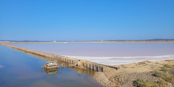 Sardegna2030 - In salina in bicicletta. Zone umide, biodiversità e cambiamento climatico
