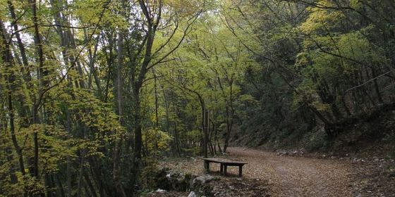Sostenibilità è partecipazione. Laboratorio biodiversità