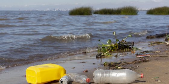 La biodiversità tradita. Approfondimenti sul turismo insostenibile
