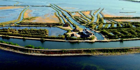 #PoDeltaSWeek2025 - Delta, lagune e aree costiere: un nuova sostenibilità ambientale, economica e sociale