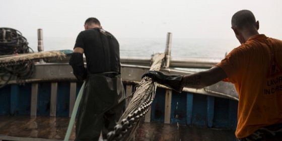 #PoDeltaSWeek2025 - Forum nazionale Clld Gal pesca e acquacoltura (Feampa 2021 - 2027)