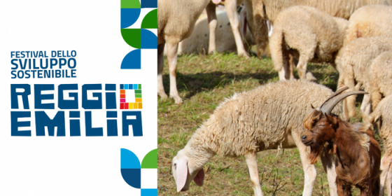 Servizi ecosistemici dell'allevamento ovino