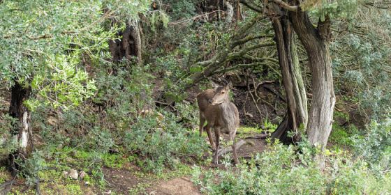 Un'avventura nella natura - La primavera