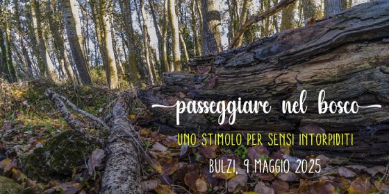 Passeggiare nel bosco