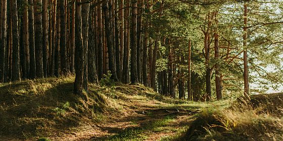 Mobilità sostenibile - Passeggiata lungo la pista ciclopedonale