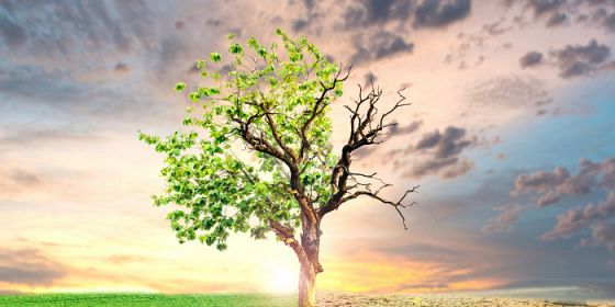 Wellbeing for all in a changing climate: what role for the EU and european universities?