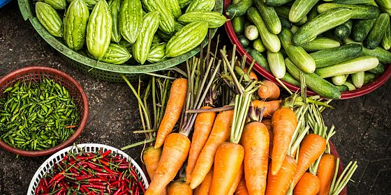 Semi di sostenibilità: le produzioni alimentari tra tradizione, sostenibilità e innovazione