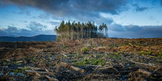 “Ah, se fossi io a decidere le sorti del mondo…”: mettiti nei panni dei negoziatori per il clima!