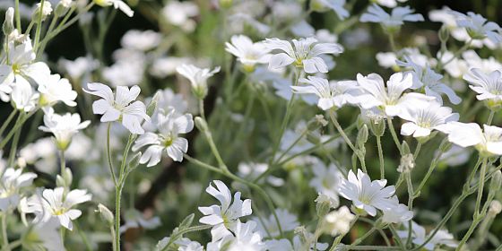 Bambini alla scoperta del Parco naturale regionale litorale di Ugento e del progetto Simon Parc