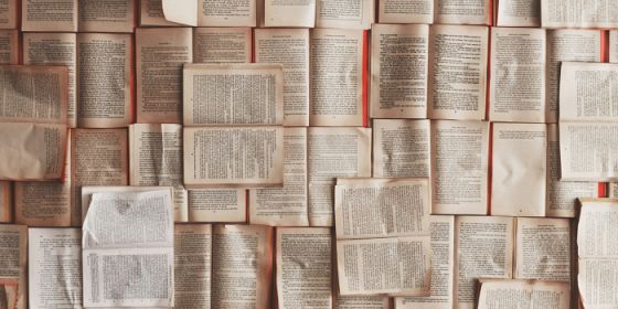 Letture in giardino