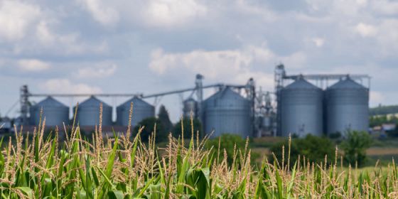 Sostenibilità ambientale dei prodotti agroalimentari: cosa bolle in pentola?
