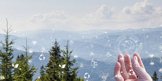 Focus day sulla Valutazione di incidenza ambientale nei siti della Rete natura 2000 della Provincia