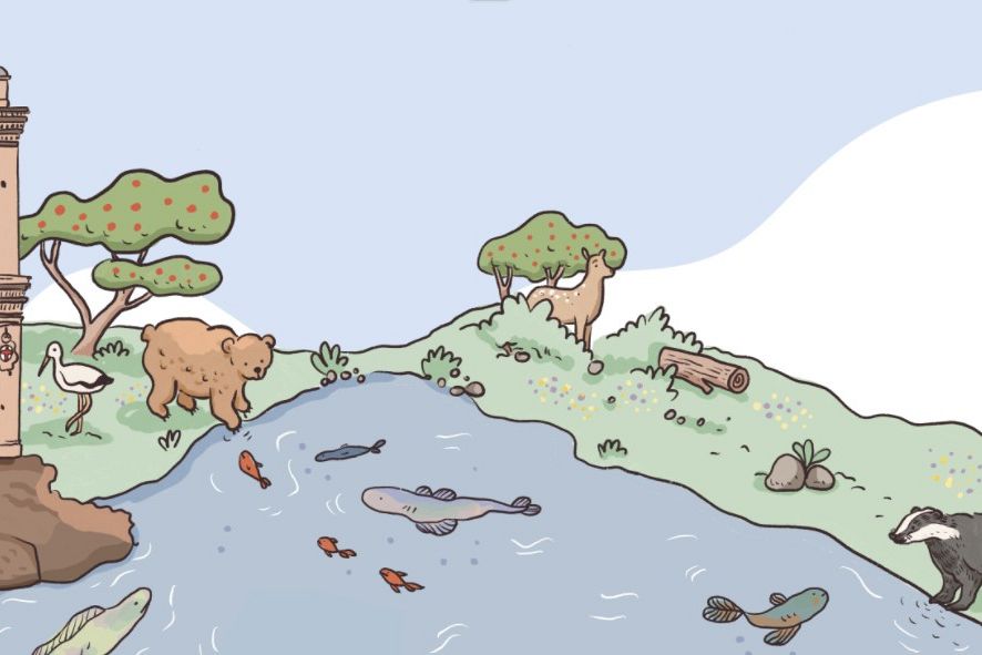 ASviS: Nature restoration law occasione storica per rigenerare la natura in Italia