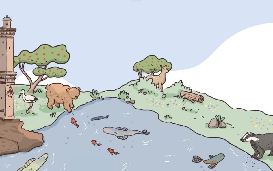ASviS: Nature restoration law occasione storica per rigenerare la natura in Italia